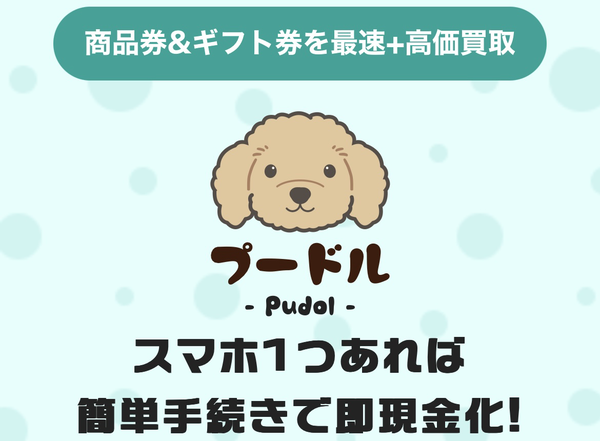 先払い買取業者 プードル-Pudol- 徹底解説　最新2024