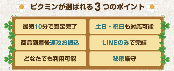 先払い買取業者 ピクミンのおすすめポイント